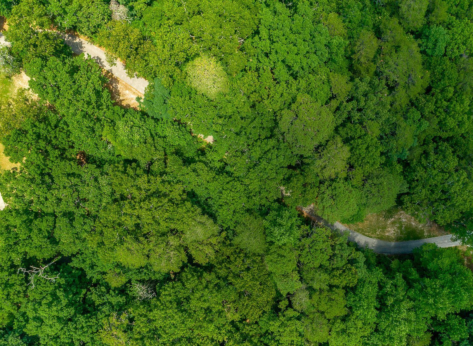 921 Lake Katherine Rd Tunnel Hill, GA 30755  | Single Family