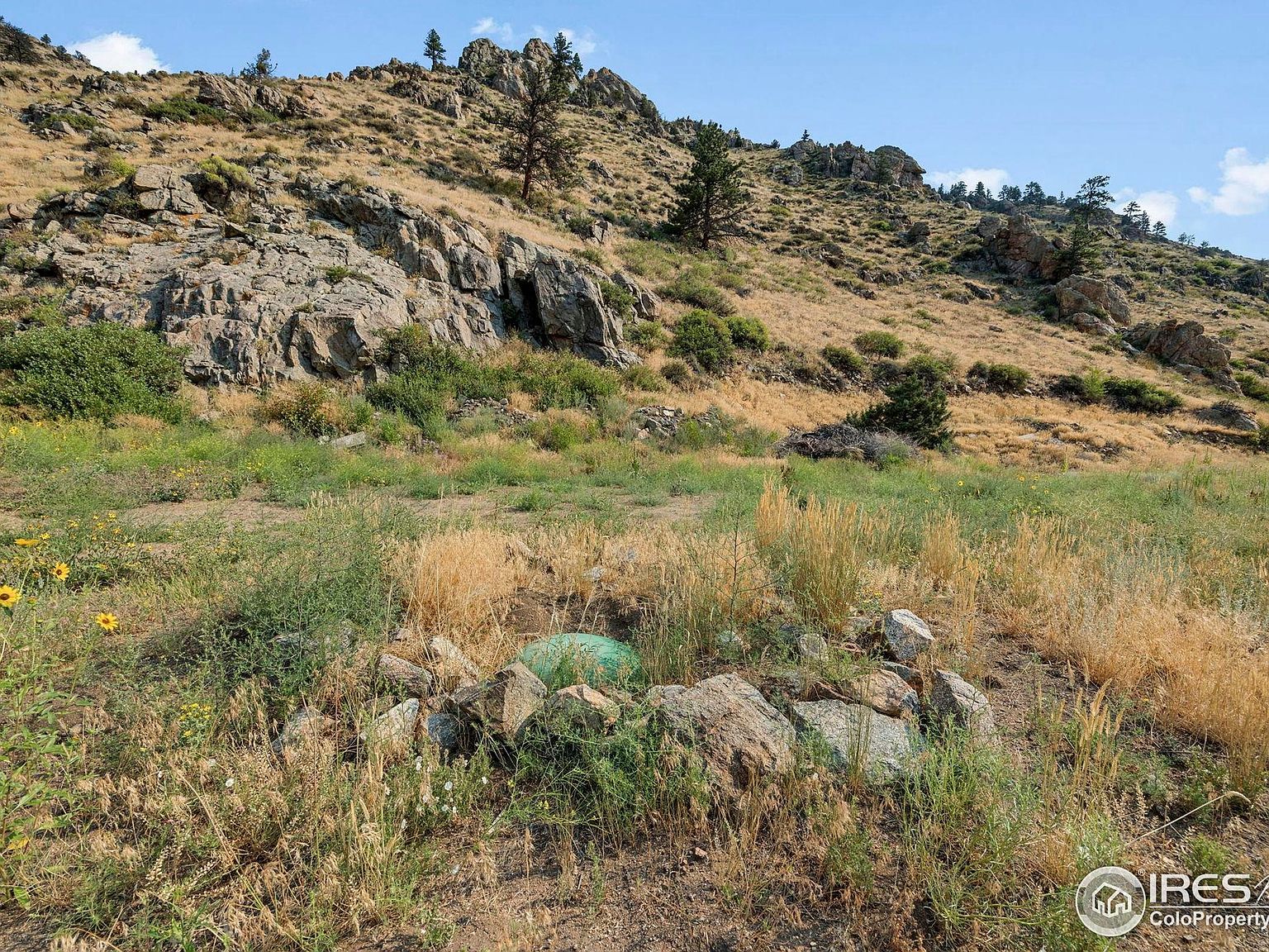33032 Poudre Canyon Rd Bellvue, CO 80512  | Land/Lot