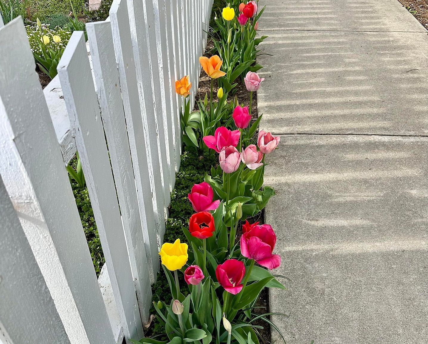 927 5th St Berthoud, CO 80513  | Single Family