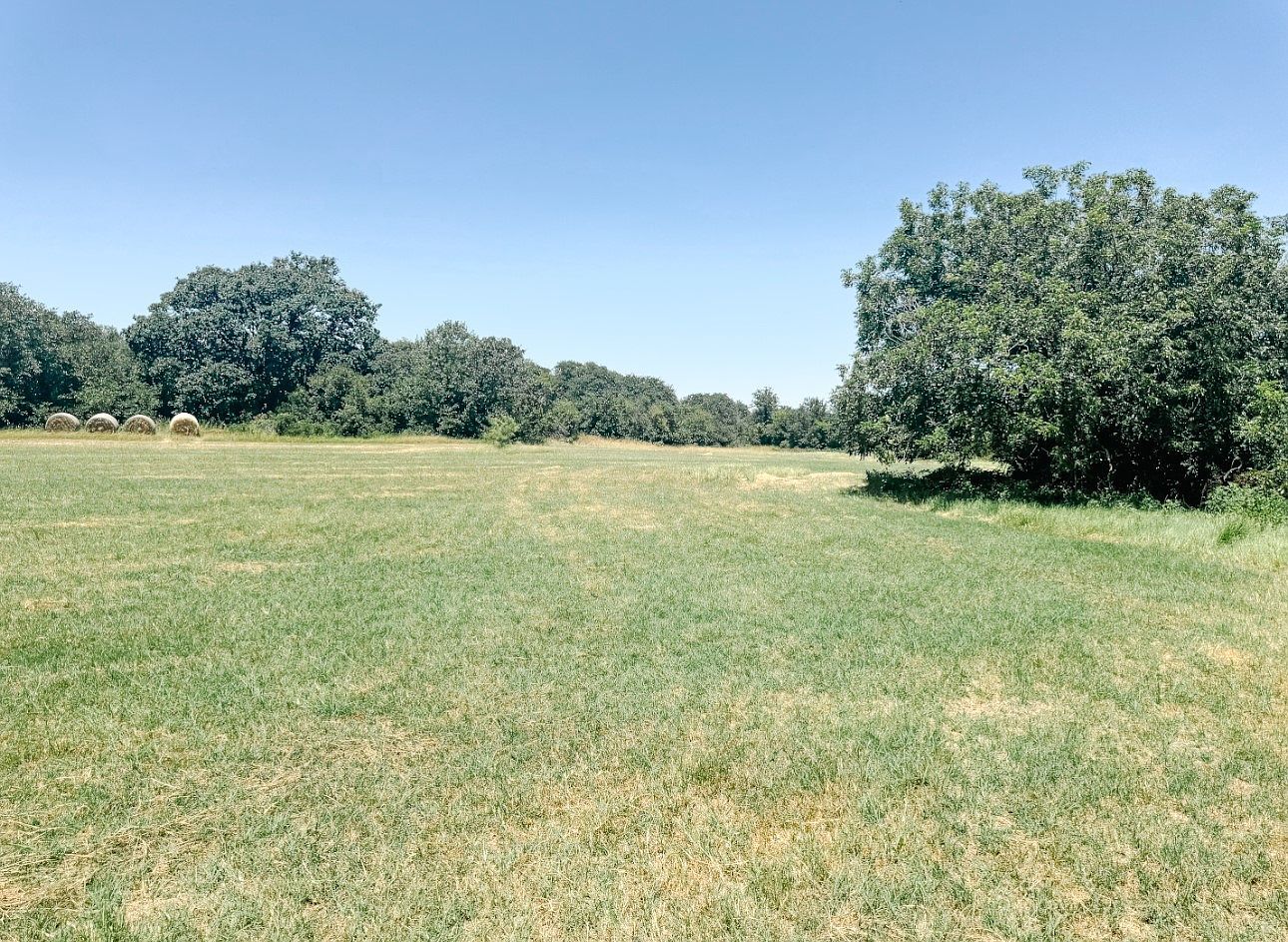 13610 Highway 183 Rising Star, TX 76471  | Single Family