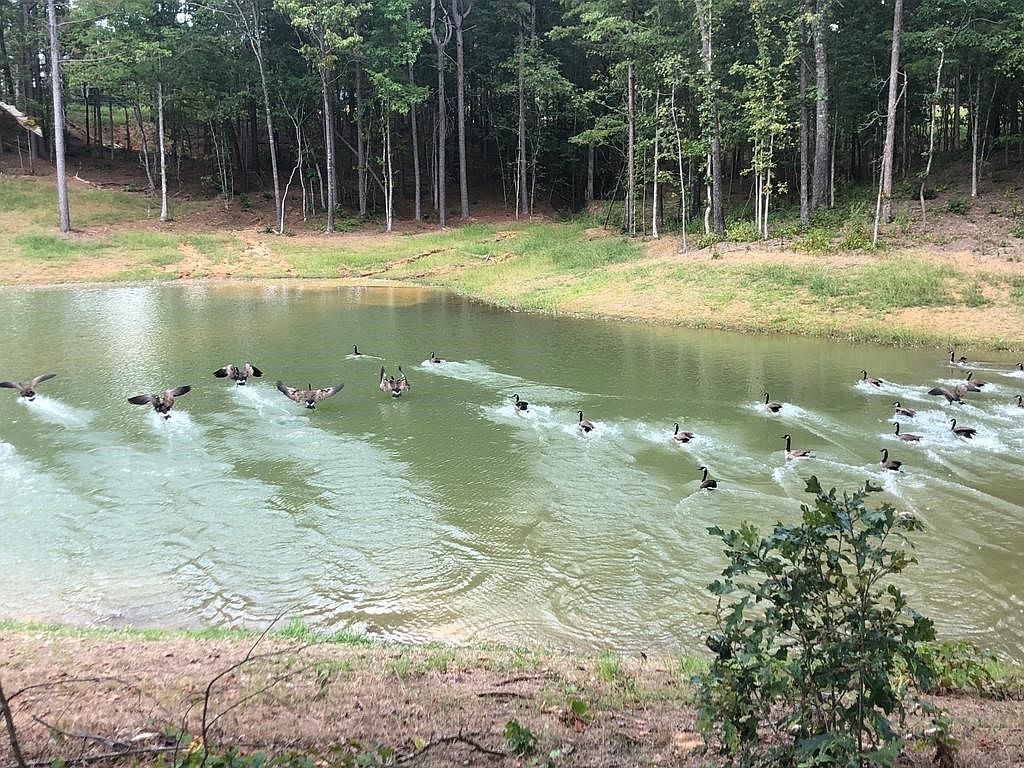 805 Bear Oak Point Oxford, MS 38655  | New build