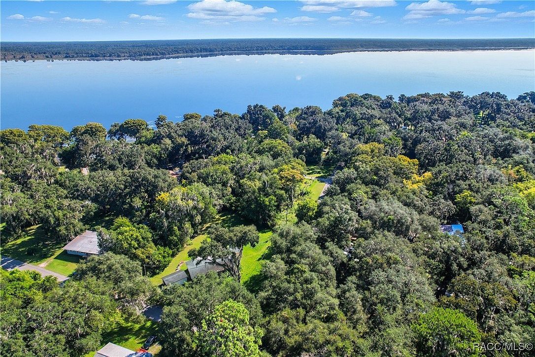 County Road 401 Lake Panasoffkee, FL 33538  | Land/Lot