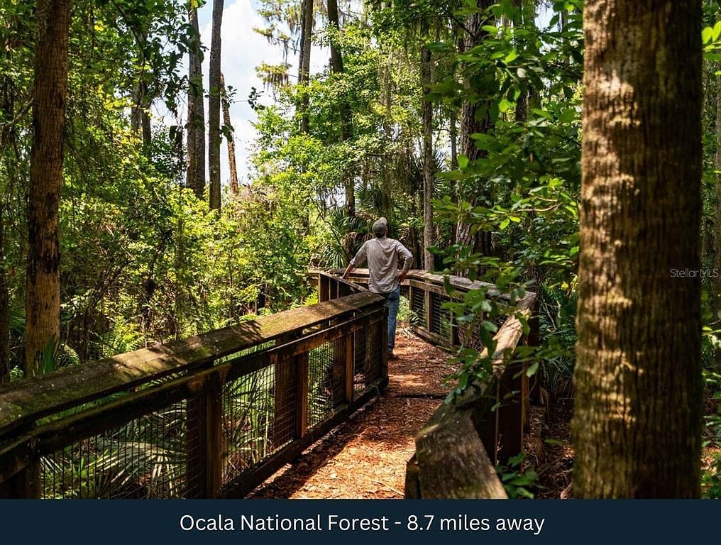 NE 165th Ter LOT 6 Silver Springs, FL 34488  | Land/Lot