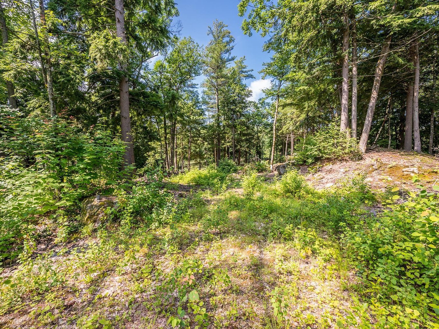 0 Edgemont Rd LOT 44 Sunapee, NH 03782 | Land/Lot