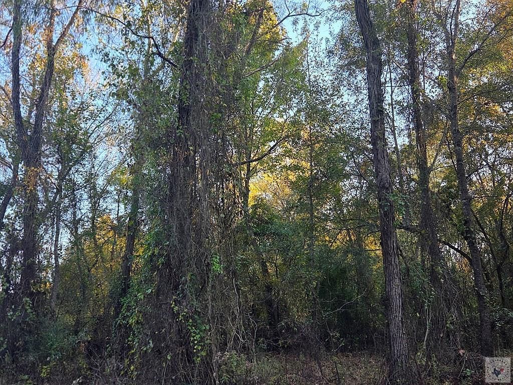 55ACRE S County Road 3117 Clarksville, TX 75426  | Land/Lot