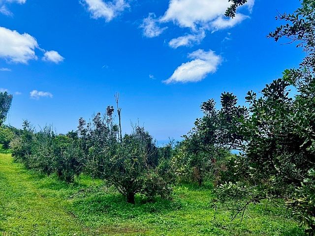 84-1178 Telephone Exchange Rd LOT B-8 Captain Cook, HI 96704 | Land/Lot