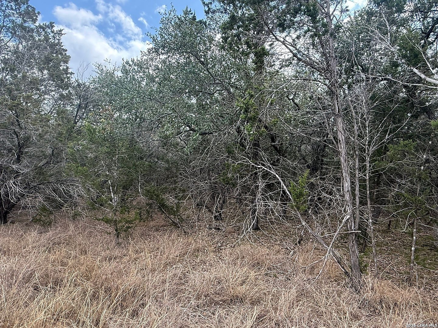 1712 Demi John Bnd #2 Canyon Lake, TX 78133 | Land/Lot