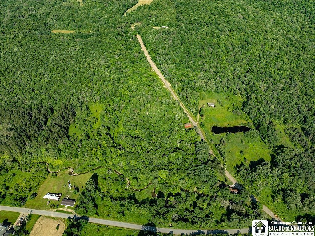 0 Morgan Hollow Rd #53 Franklinville, NY 14737  | Land/Lot