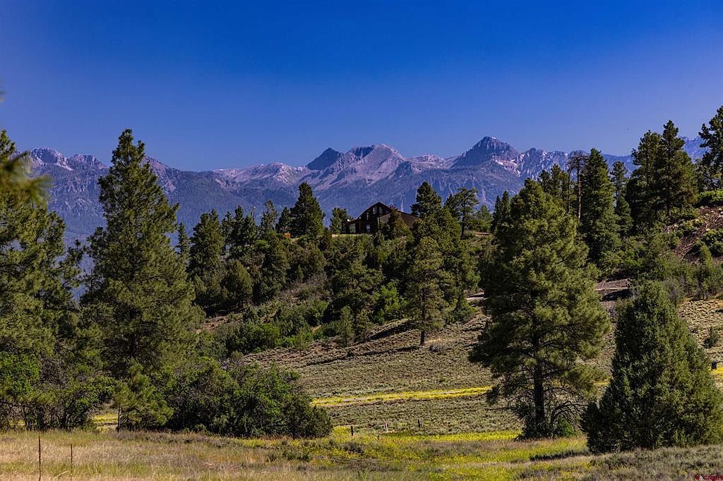 350 Bristlecone Dr Pagosa Springs, CO 81147  | Land/Lot