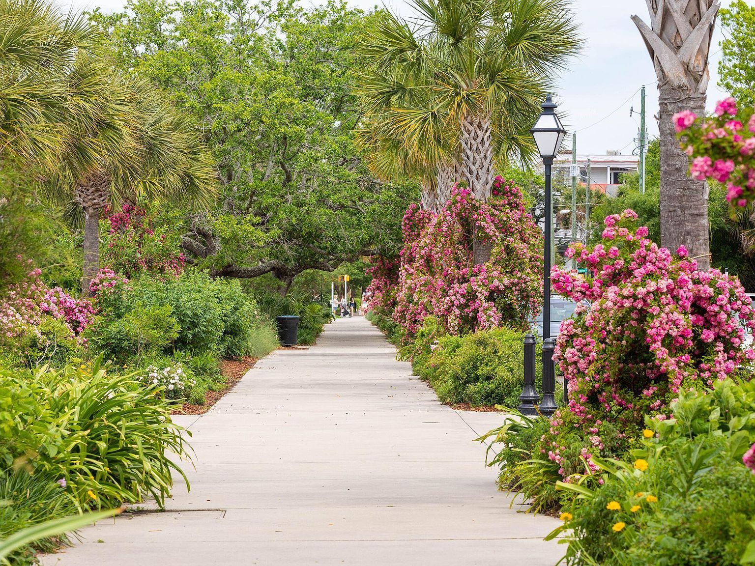 194 Fishburne St Charleston, SC 29403  | Single Family