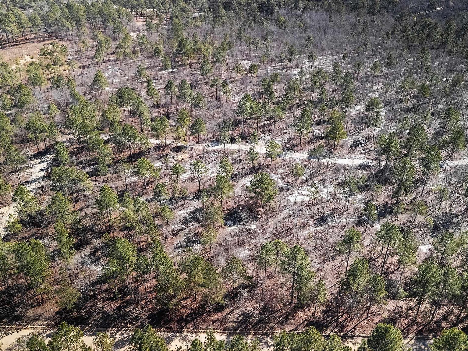 1C Spring Creek Rd Lugoff, SC 29078  | Land/Lot