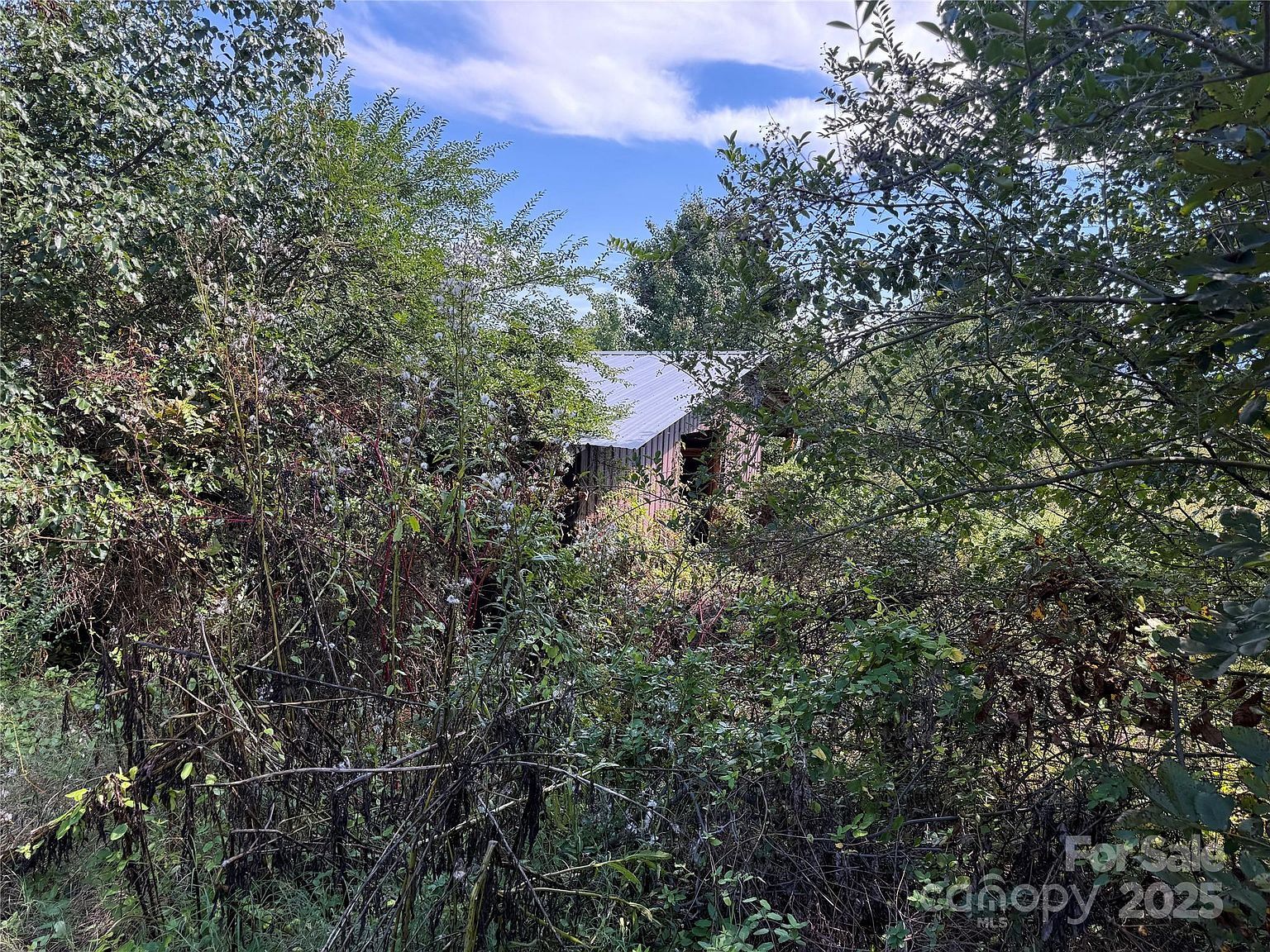 1940 Paul Shuping Ave Morganton, NC 28655  | Single Family