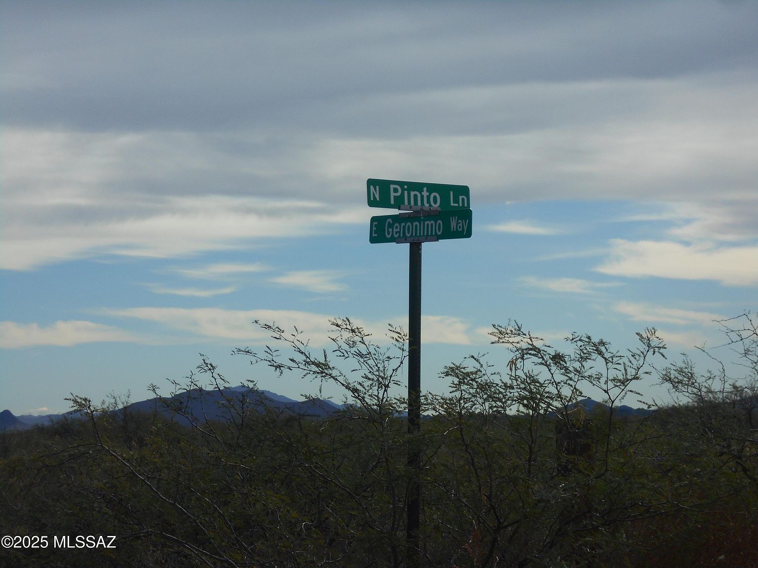 1590 N Pinto Ln Cochise, AZ 85606  | Land/Lot