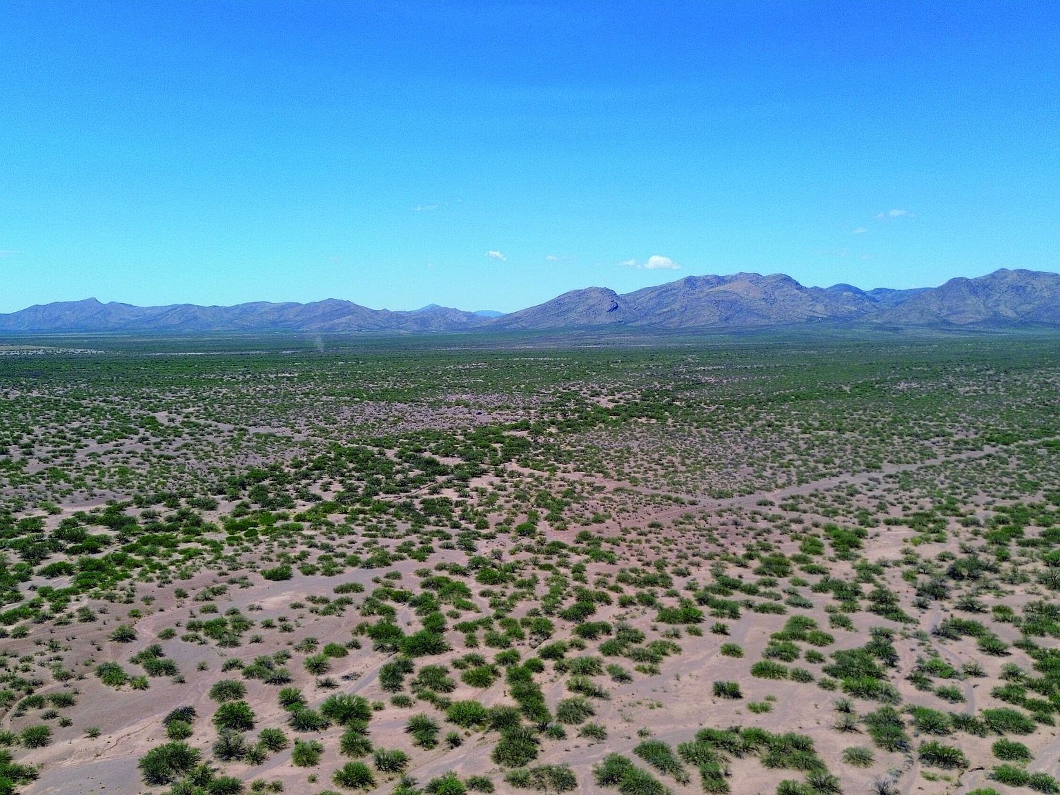 W Calle De Amigos Mc Neal, AZ 85617  | Land/Lot