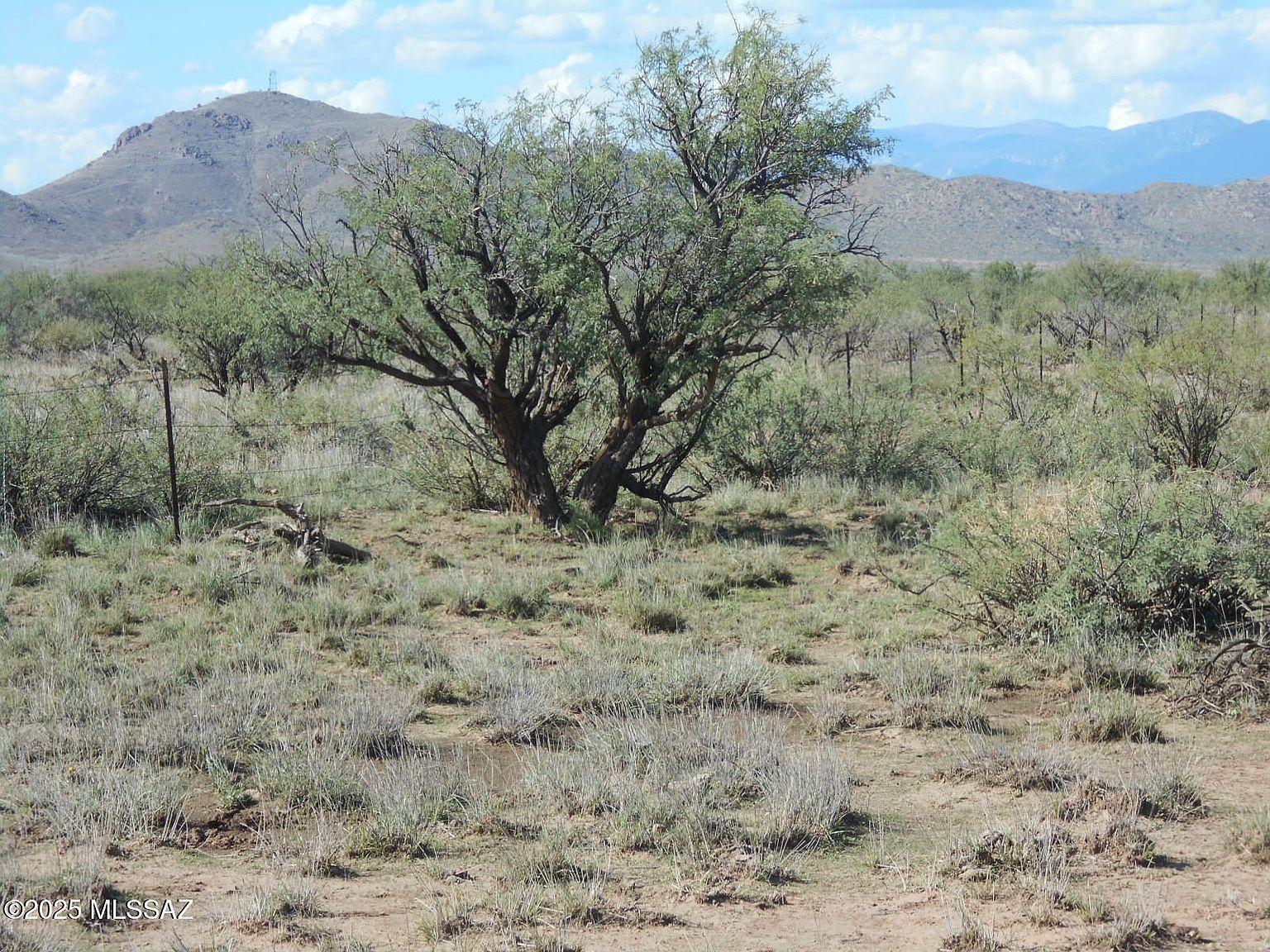 W Old Stewart Rd #53 Willcox, AZ 85643  | Land/Lot