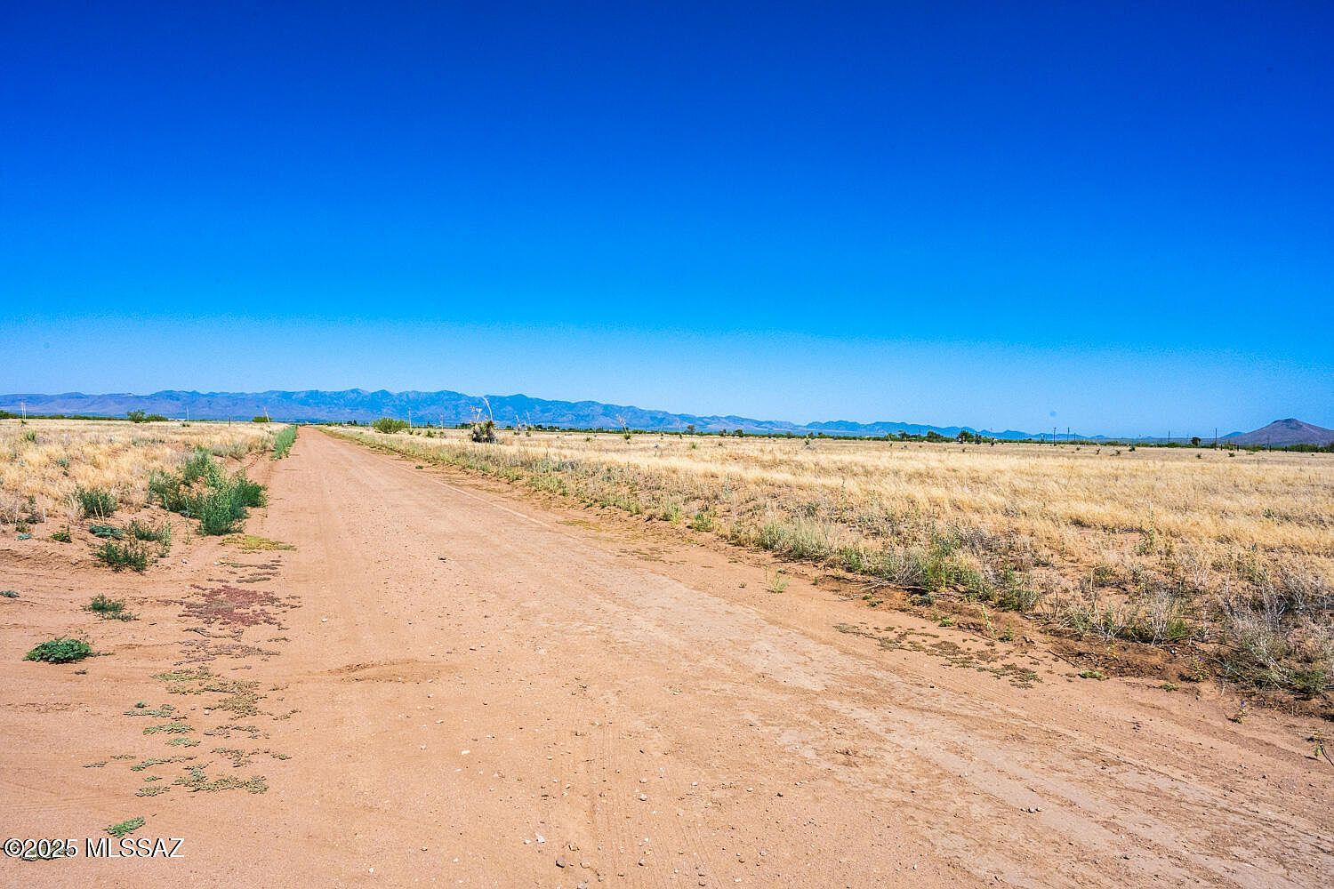 E Chiricahua Dr Pearce, AZ 85625  | Land/Lot