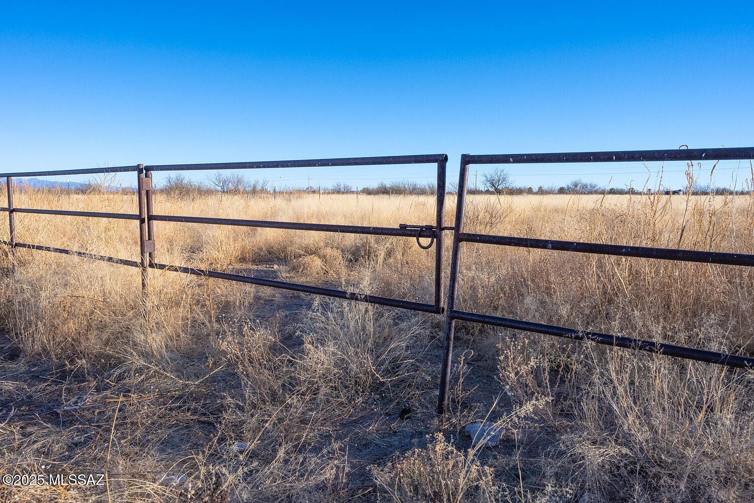 Zane West St Cochise, AZ 85606  | Land/Lot