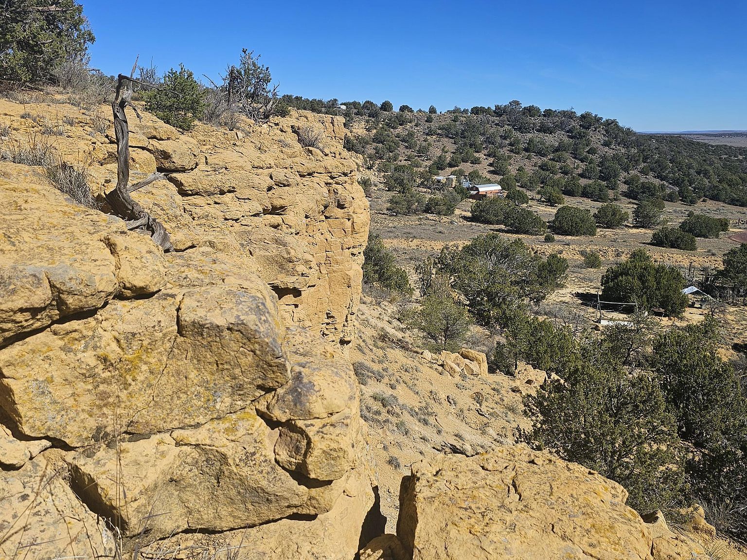 4 County Rd Concho, AZ 85924  | Land/Lot