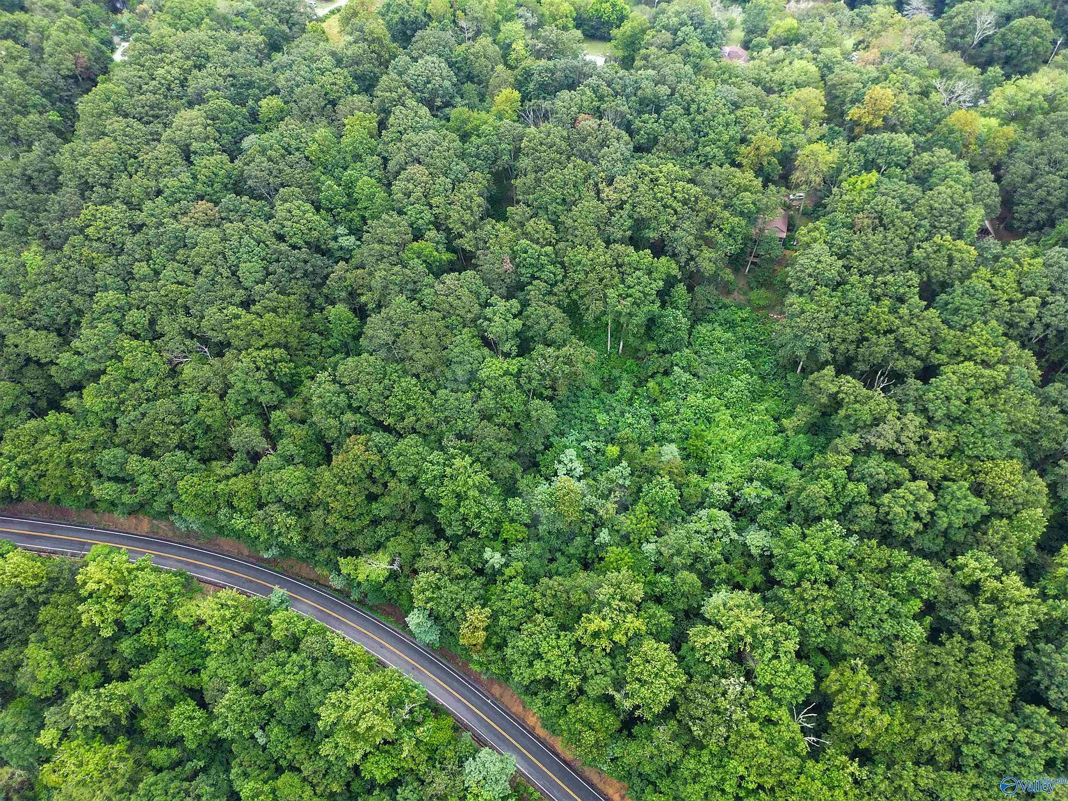 Scenic Hwy Mentone, AL 35984  | Land/Lot