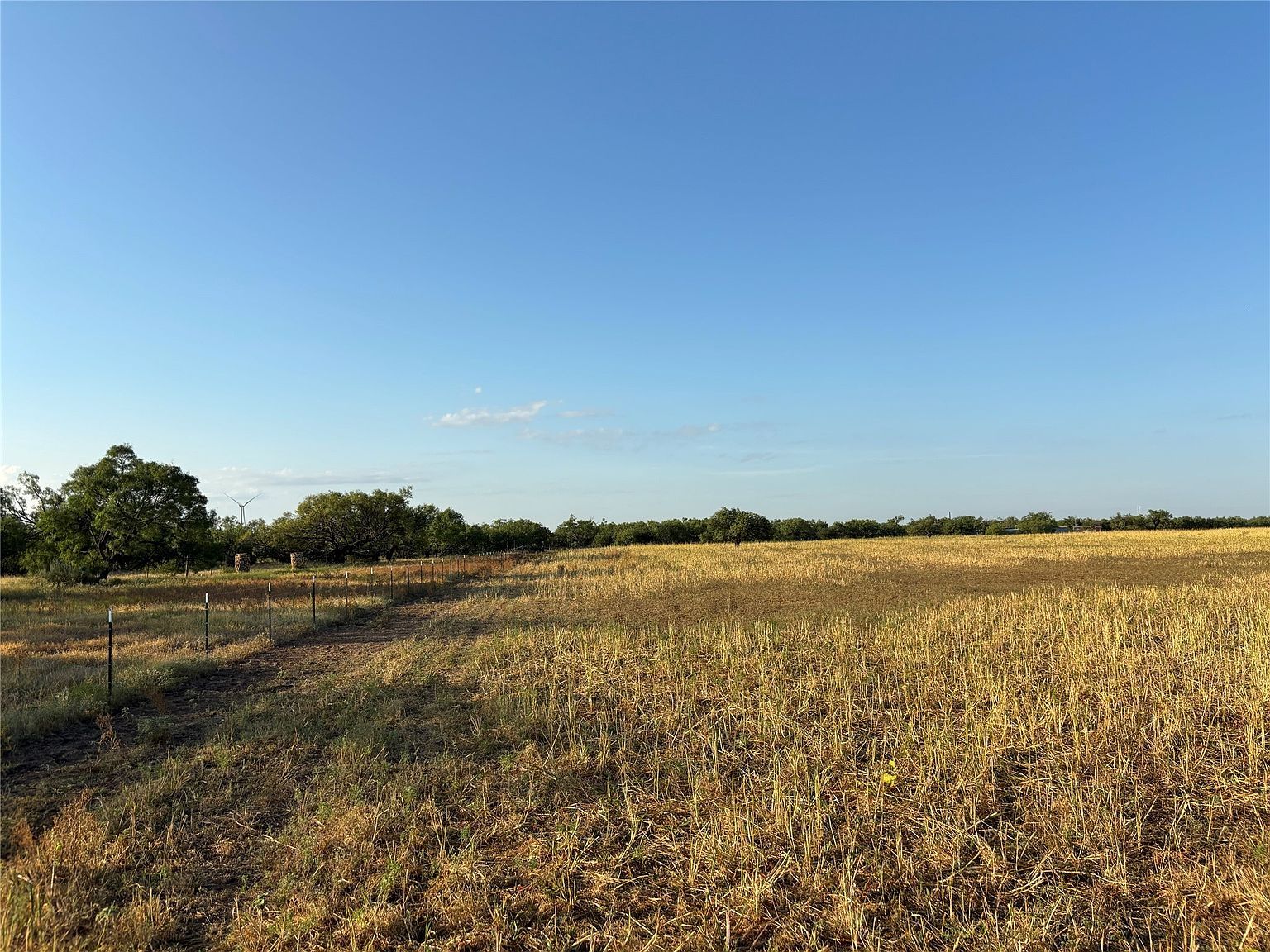 County Road 100 Abilene, TX 79601 | Land/Lot