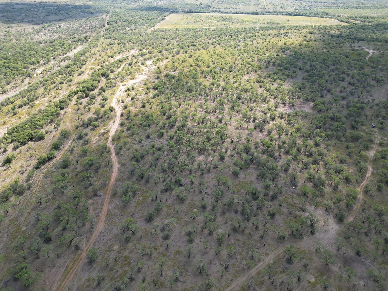 802/AC County Road 100 Abilene, TX 79601  | Single Family