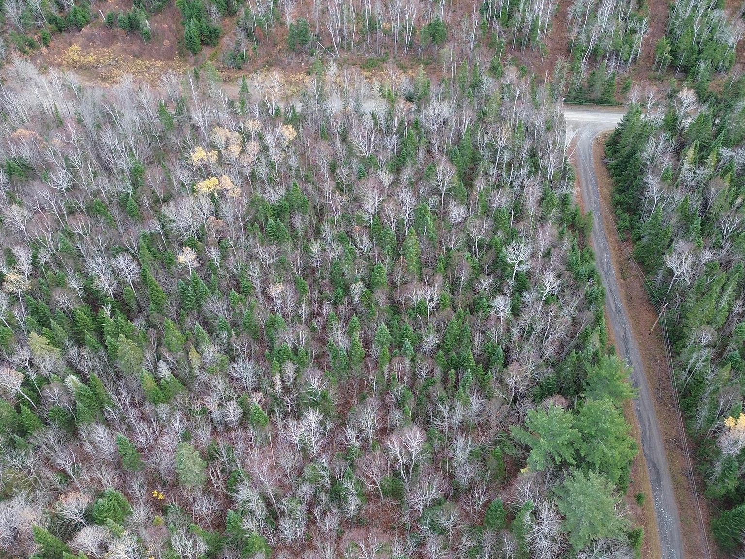 M25-L33C Pelletier Rd Madawaska, ME 04756  | Land/Lot