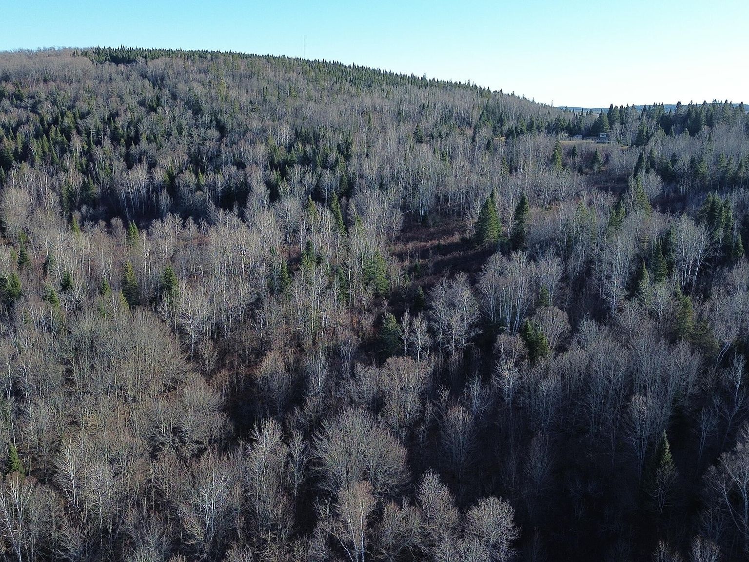 M5-L46D Black Bear Ln Frenchville, ME 04745  | Land/Lot