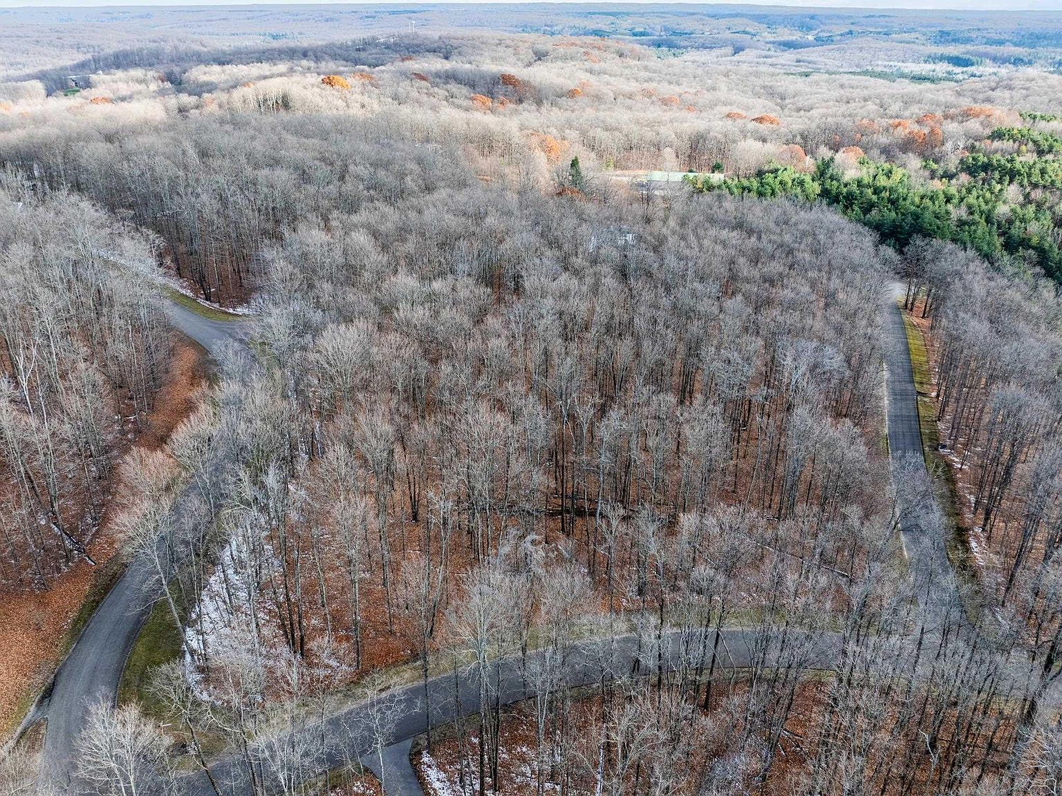 158 Forest Trl Bellaire, MI 49615  | Land/Lot