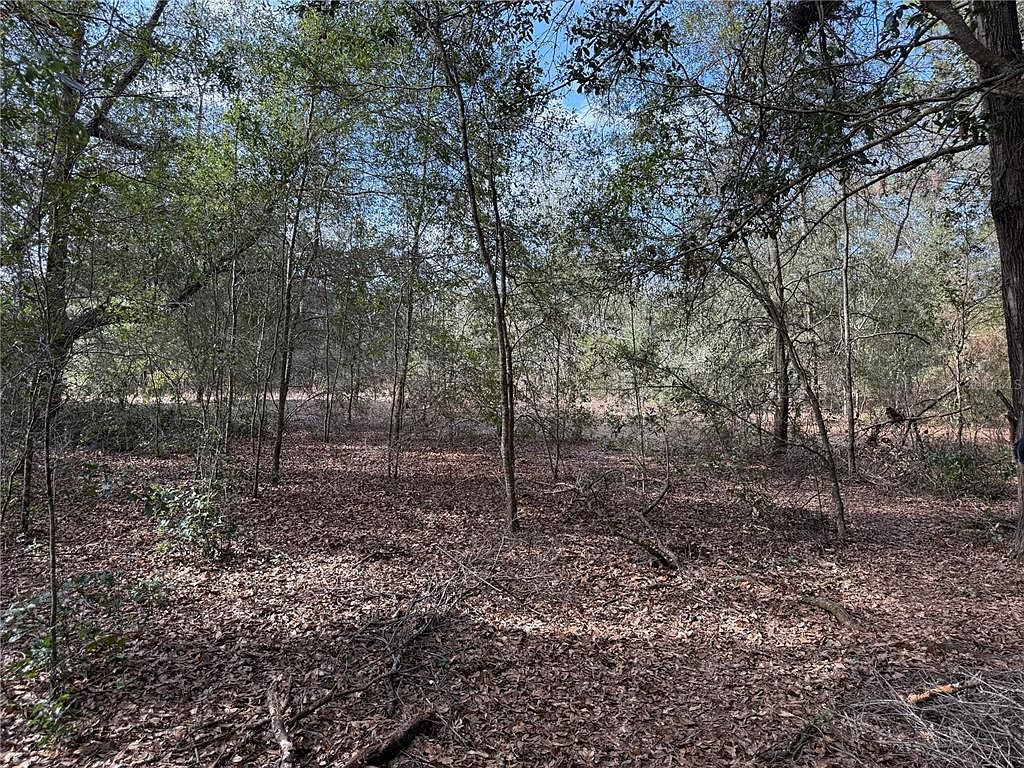 SE 92nd Ct Belleview, FL 34420  | Land/Lot