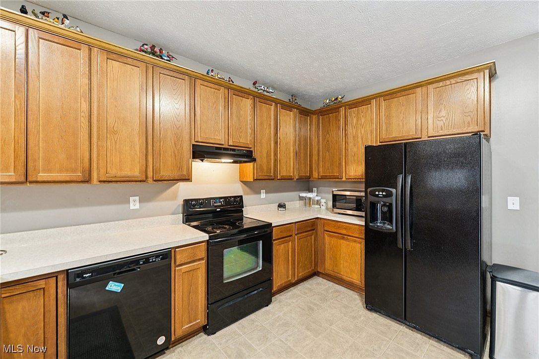 3769 Freedom Pl Lorain, OH 44053 | Condominium