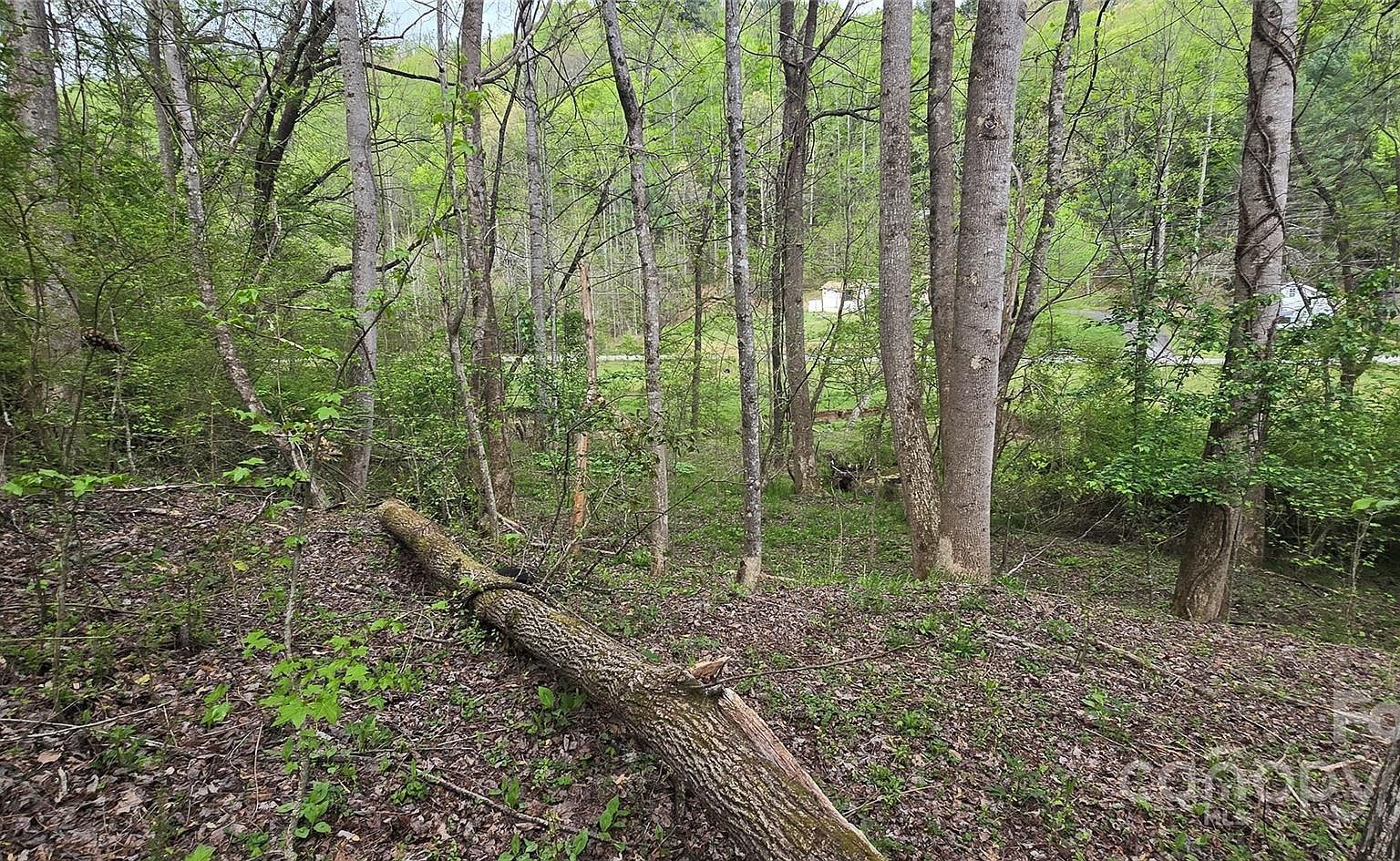 0 Indian Trl Lenoir, NC 28645  | Land/Lot