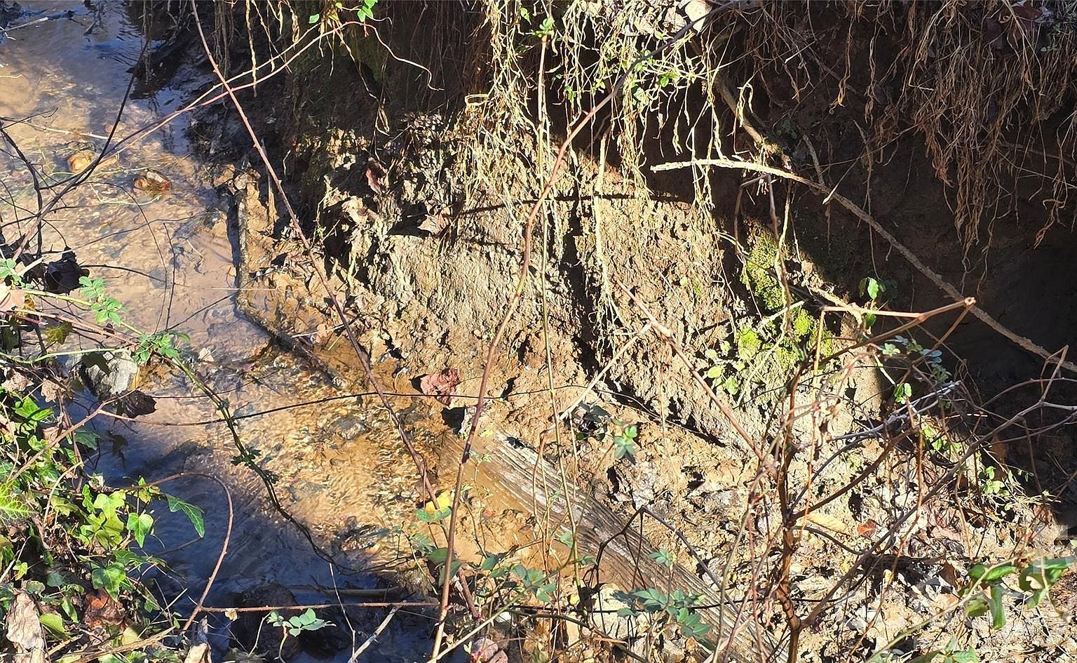 0 Peak Pl NW Lenoir, NC 28645  | Land/Lot