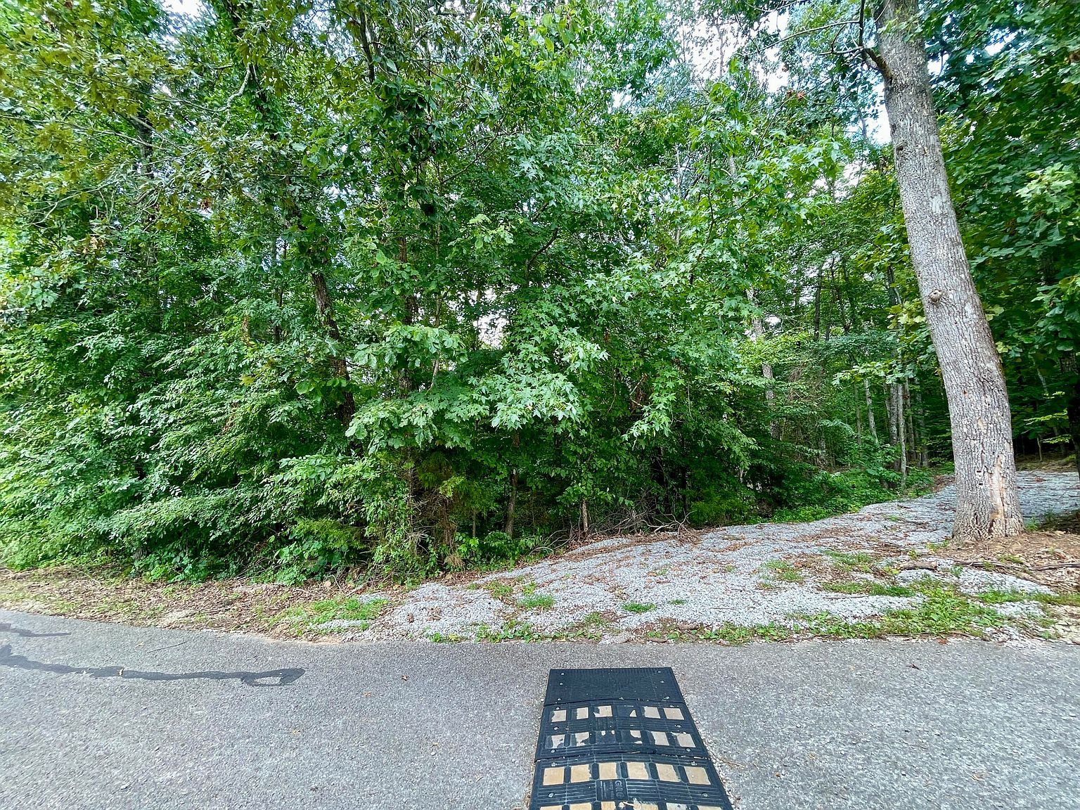 8 Beechwood Dr Nancy, KY 42544  | Land/Lot