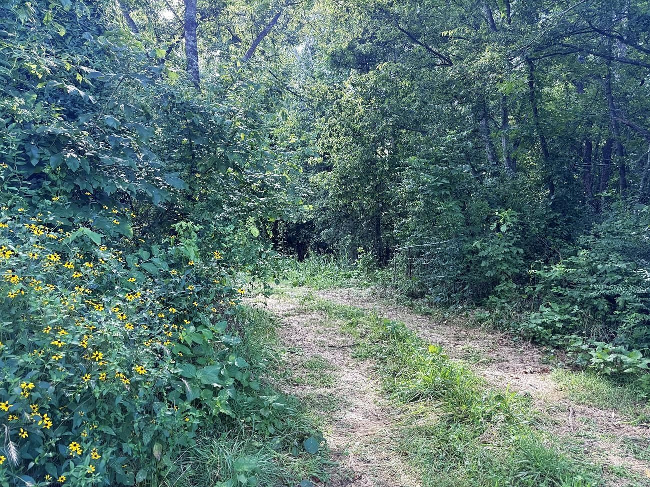 0 Highway 63 Byp Hardy, AR 72542  | Land/Lot