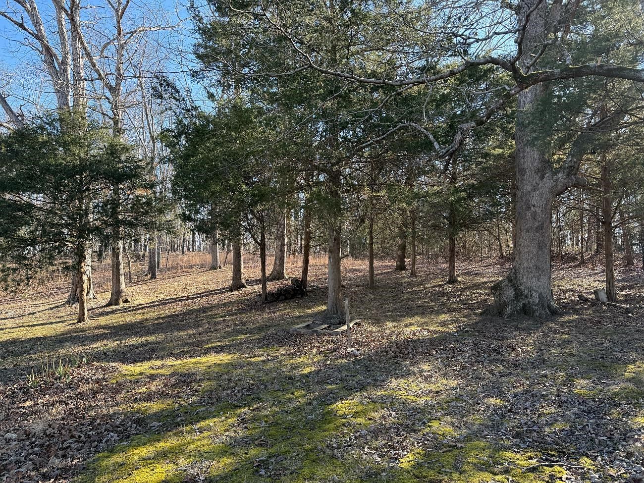 298 Highway 63 Ravenden, AR 72459  | Single Family