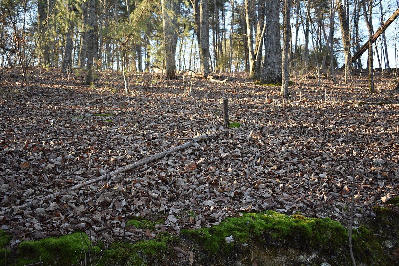 1 Eldridge Ln SW Cleveland, TN 37311 | Land/Lot