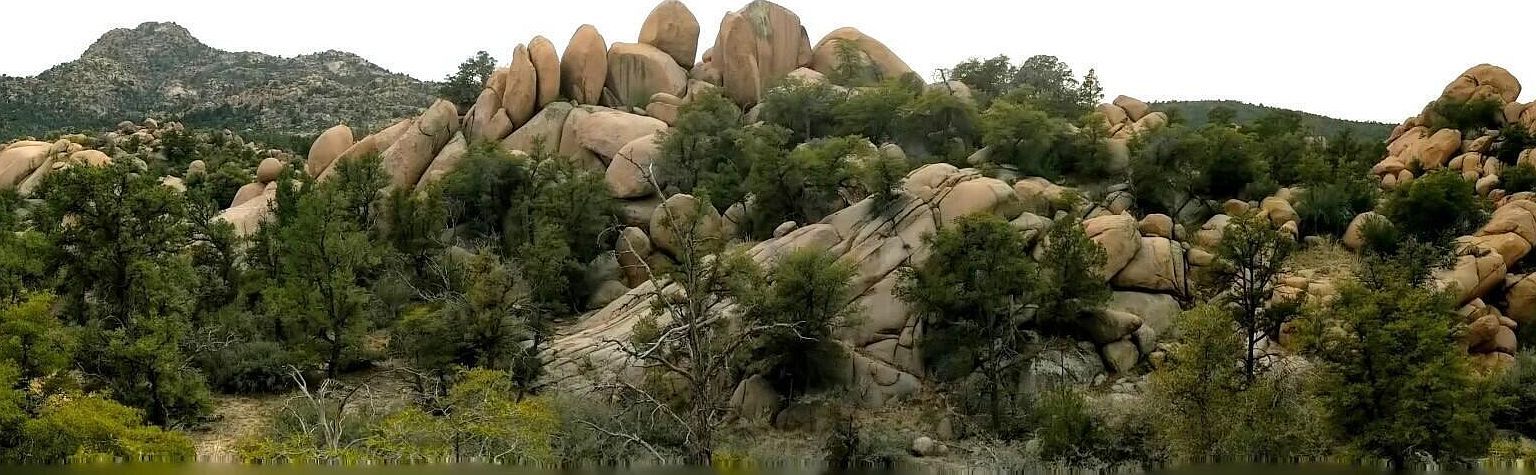 0 W Makwa Trl Prescott, AZ 86305  | Land/Lot