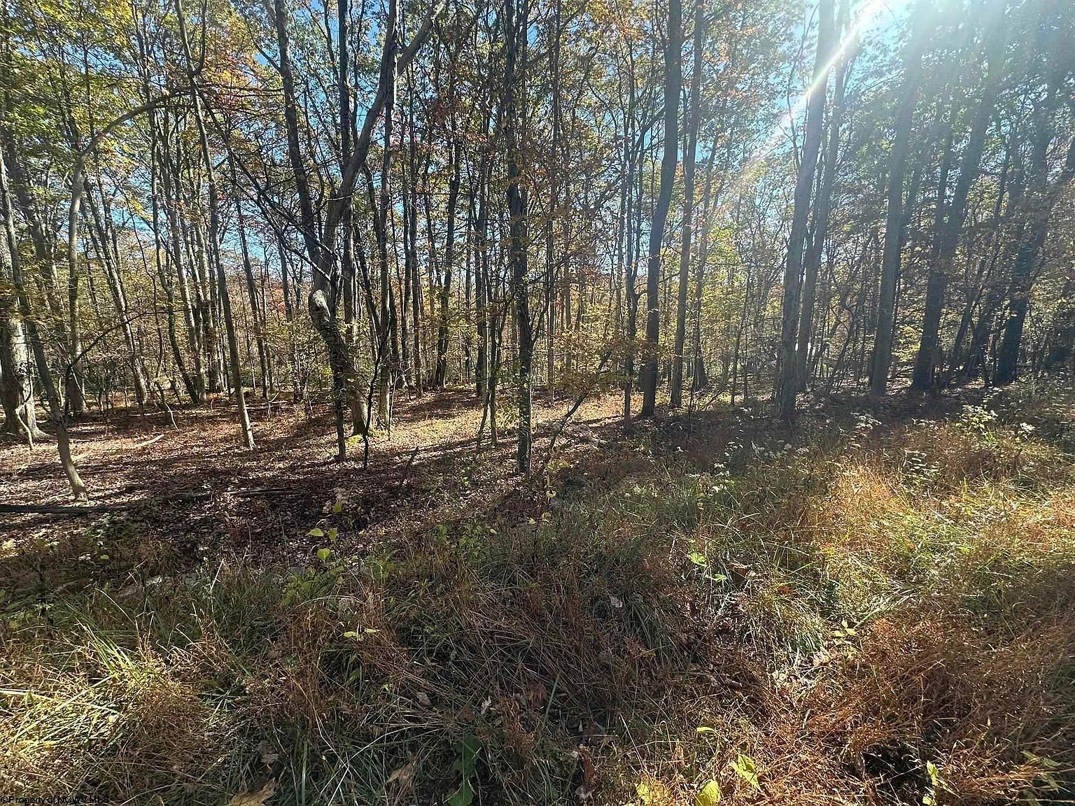470 Redwood Dr Terra Alta, WV 26764  | Land/Lot