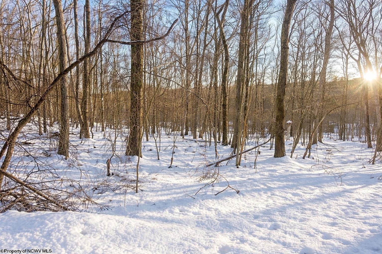 Ash Ct Terra Alta, WV 26764 | Land/Lot
