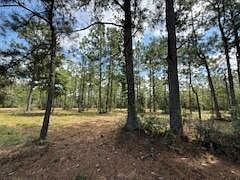 1704 Watson Rd Defuniak Springs, FL 32433 | Land/Lot