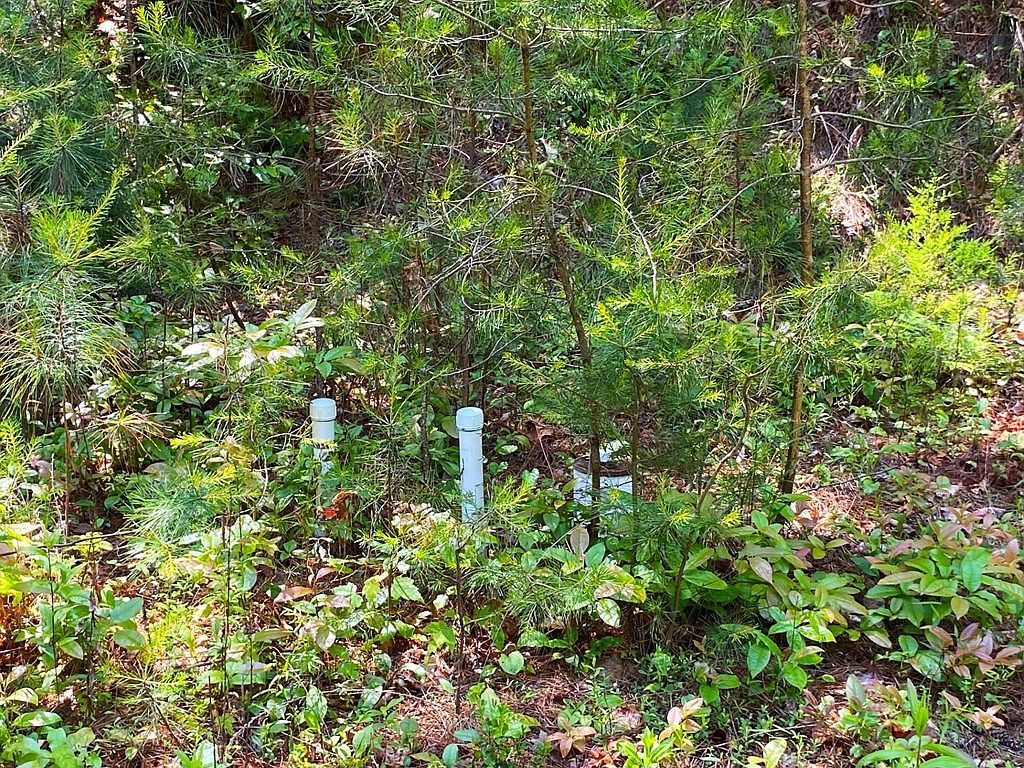 97 Choctaw Ridge Trl Murphy, NC 28906 | Land/Lot