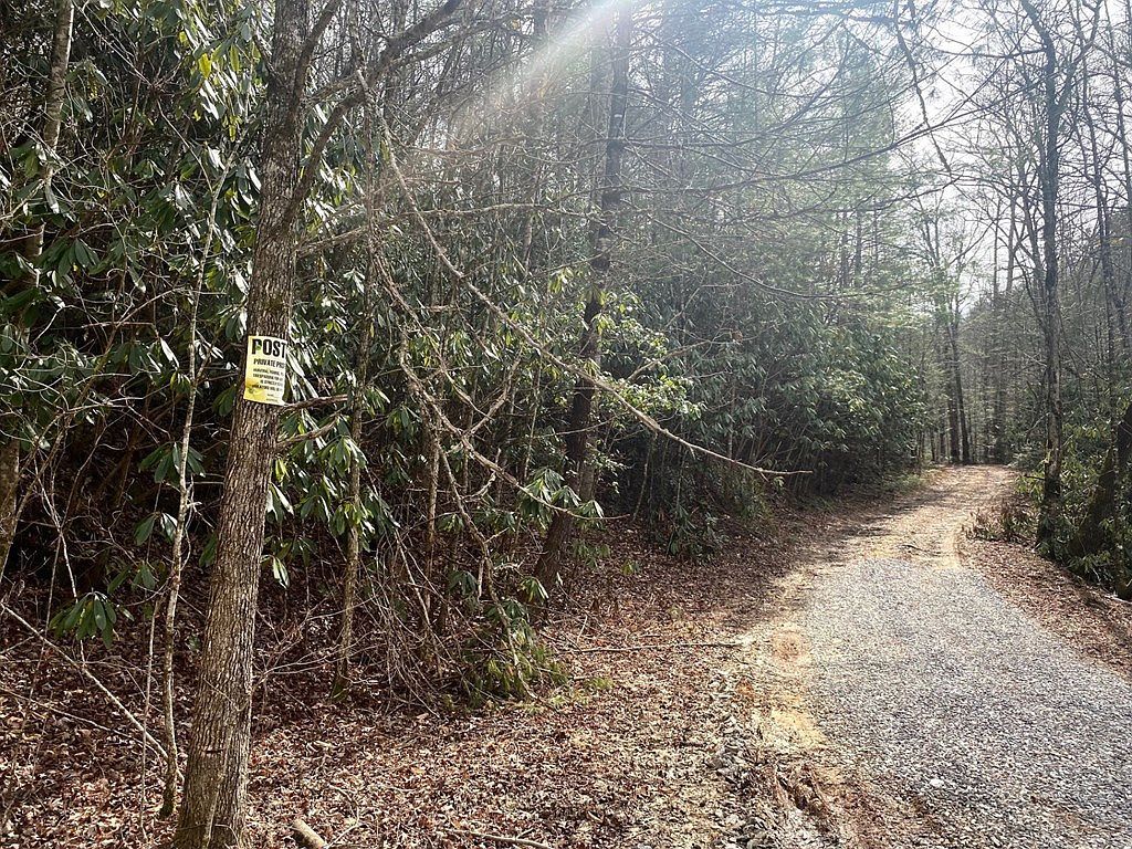 0 Flea Mountain Rd Murphy, NC 28906 | Land/Lot