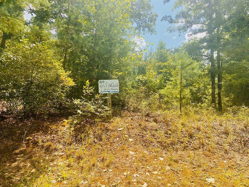 LOT 89 River Mountain Rd Murphy, NC 28906  | Land/Lot