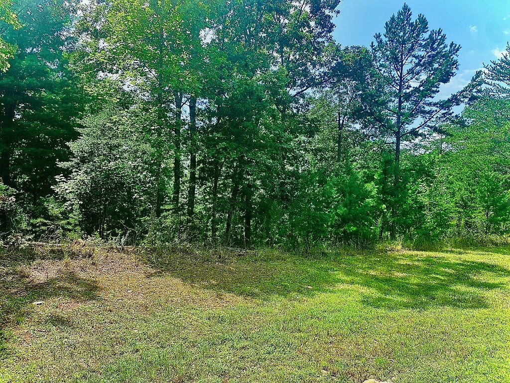 89 River Mountain Rd Murphy, NC 28906  | Land/Lot