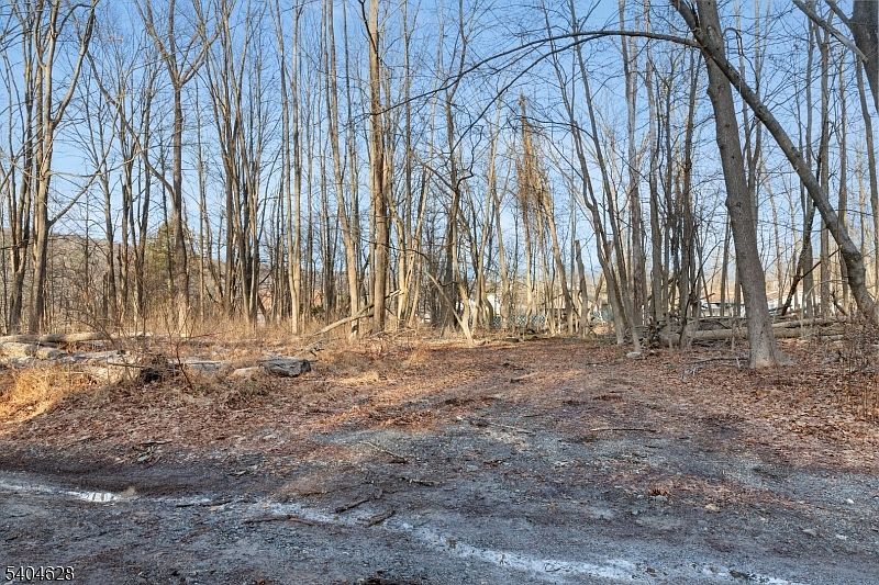 2046 Macopin Rd West Milford, NJ 07480 | Land/Lot