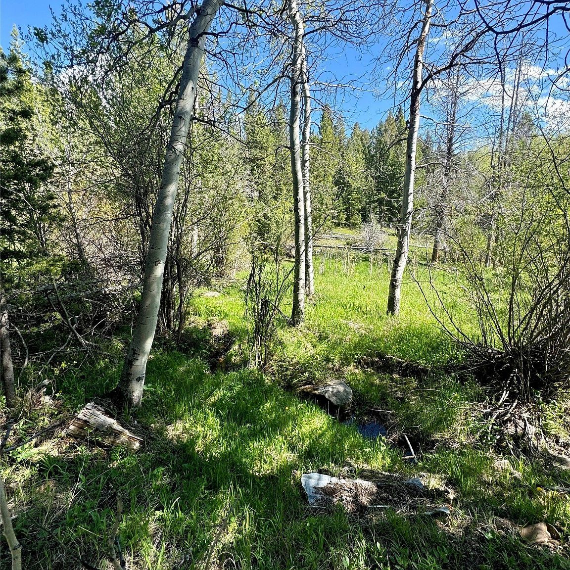 Nhn Perkins Gulch Rd Anaconda, MT 59711 | Land/Lot