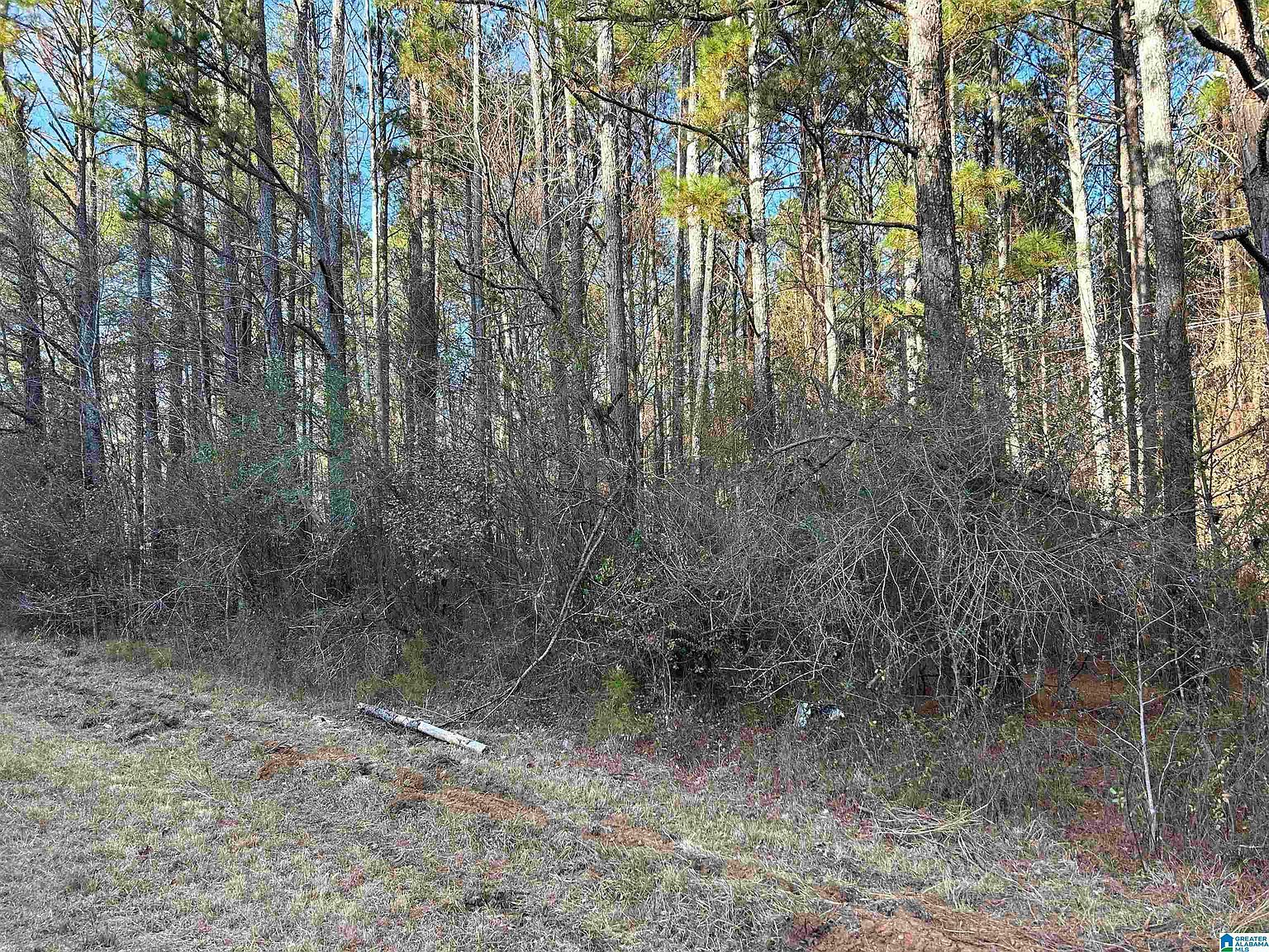 0 Highway 431 #0 Heflin, AL 36264  | Land/Lot