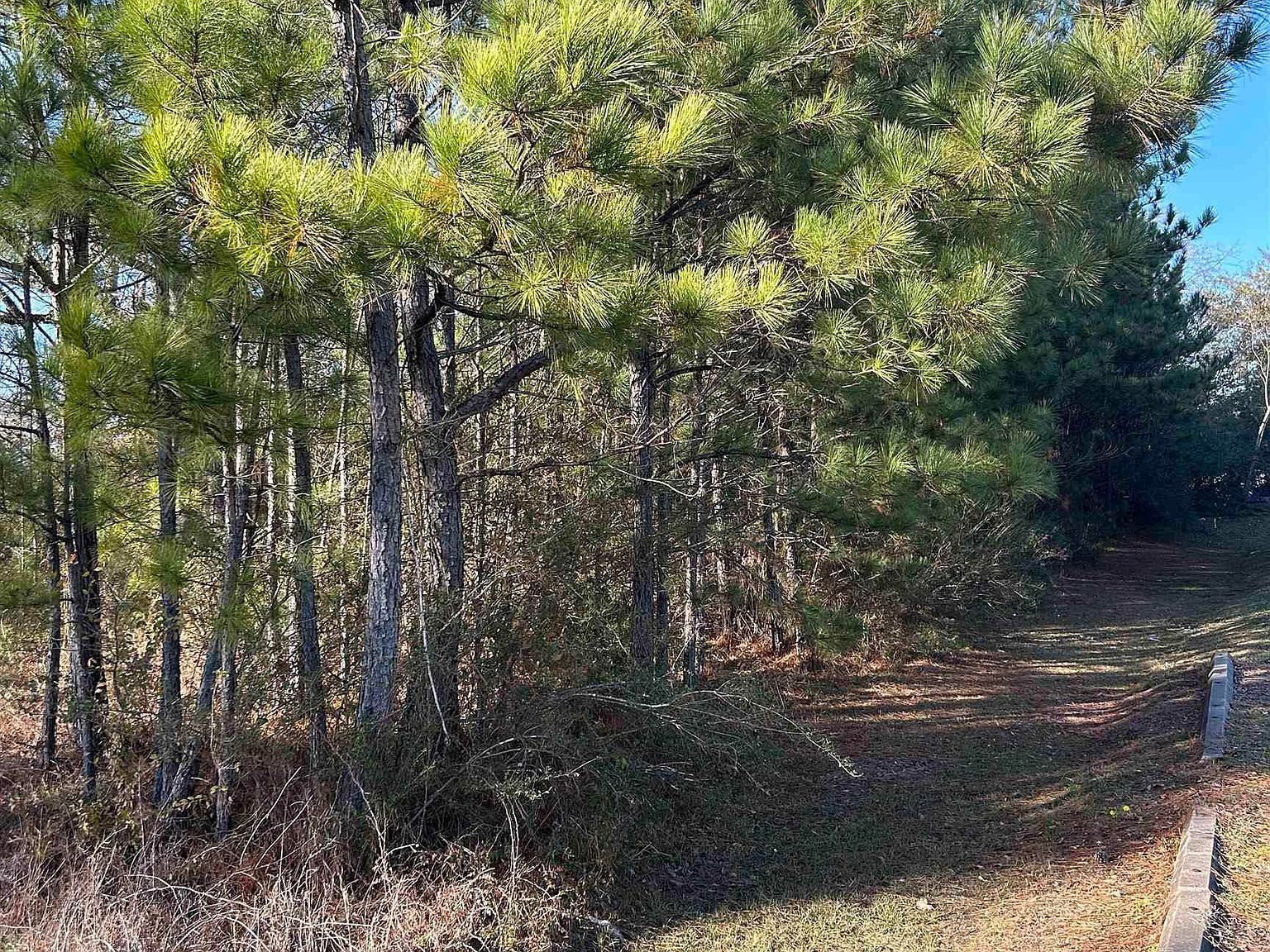 0 Hwy 78 Eastaboga, AL 36260  | Land/Lot