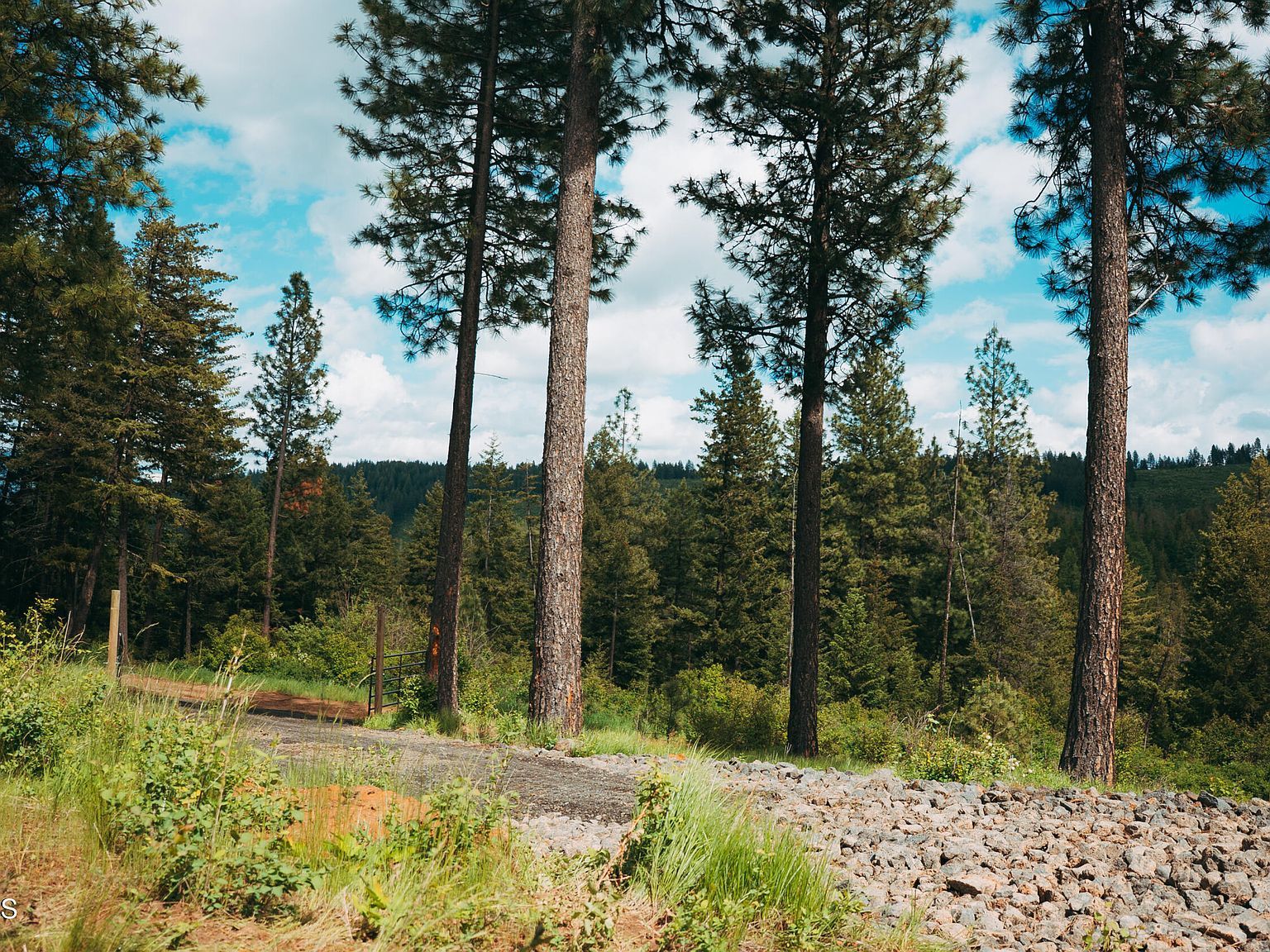 0 Loper Ln Desmet, ID 83824 | Land/Lot