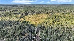 641 Us Highway 80 Hwy E Ellabell, GA 31308  | Land/Lot